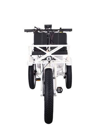 750 Watt Vorderräder Elektro-Rikscha-Trike mit Lithium-Batterie 21AH und 7 Geschwindigkeitsgetriebe