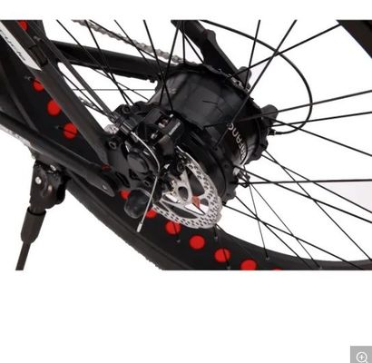 Aluminium-Fork-Material Fettreifen Super-Elektrobike Fahrrad 73 für 2021 On-Road-Anlass