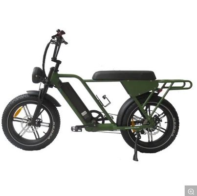 48V250W-500W-750W-1000W Motor Step-Through Elektrobike mit Aluminiumrahmen