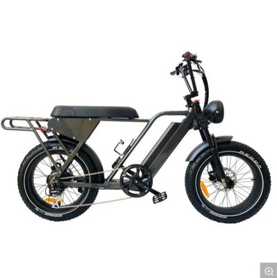 48V250W-500W-750W-1000W Motor Step-Through Elektrobike mit Aluminiumrahmen