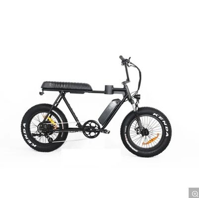 Magnesium-Legierungsrahmen 2020 20 Zoll Fettreifen Elektrofahrrad Schneebad Cruiser EL-DN2011Z