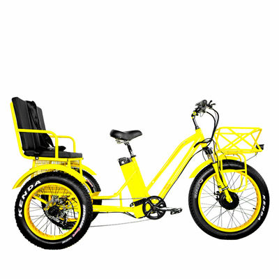24&quot; Elektro Etrike Dreirad mit 750W Motor und 21AH Lithium Batterie 40KM/H Max-Geschwindigkeit