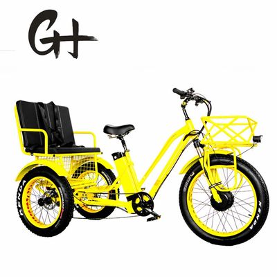 24&quot; Elektro Etrike Dreirad mit 750W Motor und 21AH Lithium Batterie 40KM/H Max-Geschwindigkeit
