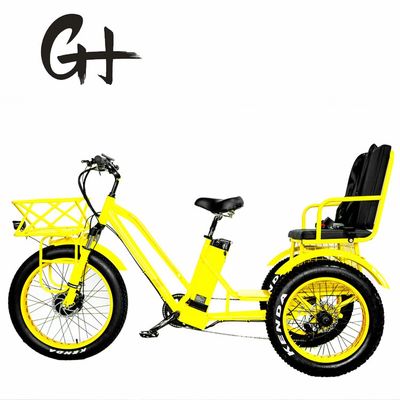 24&quot; Elektro Etrike Dreirad mit 750W Motor und 21AH Lithium Batterie 40KM/H Max-Geschwindigkeit