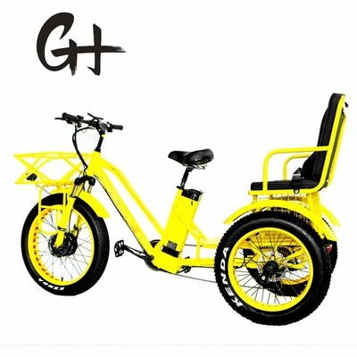 24&quot; Elektro Etrike Dreirad mit 750W Motor und 21AH Lithium Batterie 40KM/H Max-Geschwindigkeit