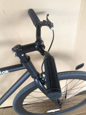 Custom Matt Black Fixie Fahrradrahmen für Erwachsene 700C Single Speed Urban Fitness Cruiser
