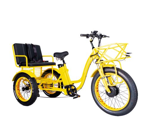 Elektrische Rikscha 750W Front BaFang Motor 21AH Lithiumbatterie 60KM USA Erwachsener 24&quot; Fett Schnee Großer Reifen Beifahrersitz