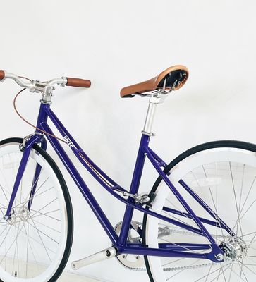 700C Lady Women Grill CE USA Individuell für Einzelgeschwindigkeit Schritt durch Festgetriebe City Bike