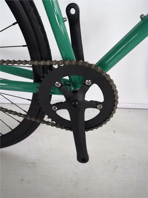 Farbenfrohe 700c Single Speed Flip Flop Hub City Cruiser Urban Fixie Bike für Erwachsene