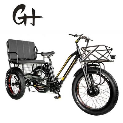 24&quot; 48V Vorderrad 750W 45KM/H Maximalbelastung 300KG 21AH Lithiumbatterie Elektro Dreiräder