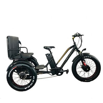 24&quot; 48V Vorderrad 750W 45KM/H Maximalbelastung 300KG 21AH Lithiumbatterie Elektro Dreiräder