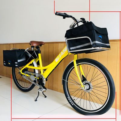 36V 9Ah 250W Drehmoment 80-90 Nm 25KM/h Hi-Ten Stahl Elektrogeräte für die Lieferung von Lebensmitteln