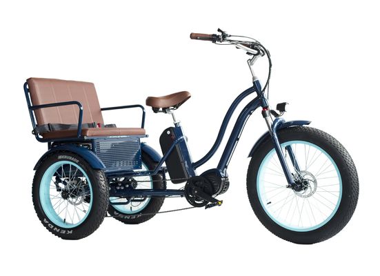 Elektrische Rikscha mit 48V 750W 17AH Lithiumbatterie und Big Fat Reifen