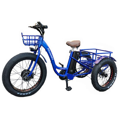 2020 Markt 750W 20 &quot;Aluminiumlegierung Felge Elektro-Dreifahrrad für den Güterverkehr