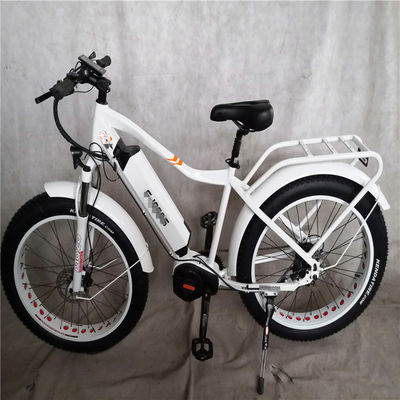1000W Bafang Mitteldrive Motor Legierung Hinterträger Zentral-Elektrofahrrad mit Standards
