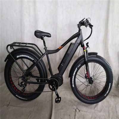 1000W Bafang Mitteldrive Motor Legierung Hinterträger Zentral-Elektrofahrrad mit Standards