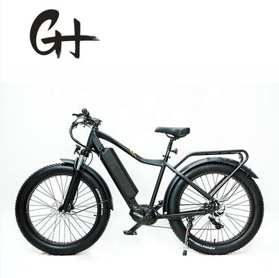 1000W Bafang Mitteldrive Motor Legierung Hinterträger Zentral-Elektrofahrrad mit Standards