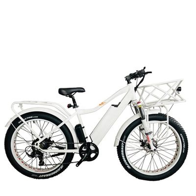 26&quot; 4.0 Big Snow Fat Tire Elektrofahrrad mit Scheibenbremse und 1000W 48V 17AH Hinter BaFang Motor
