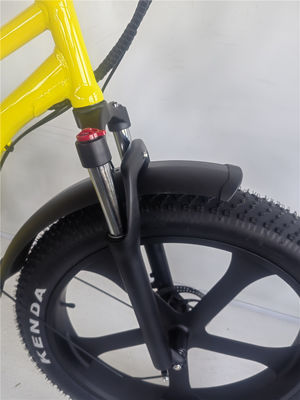 26 Zoll Bafang Motor 750W 48V 5 Spitzen Schritt durch große Reifen Fettreifen Elektrobike