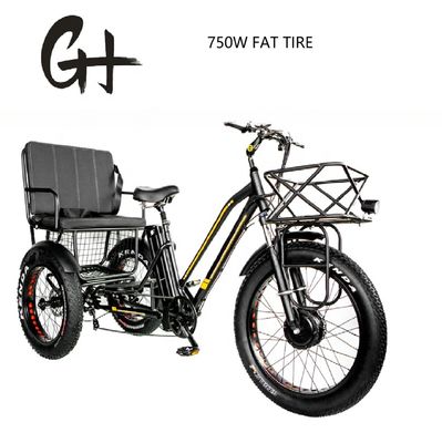 Bafang 750 Watt Motor Elektrotrickrad mit Fettreifen E Drei Räder und Fahrgastsitz