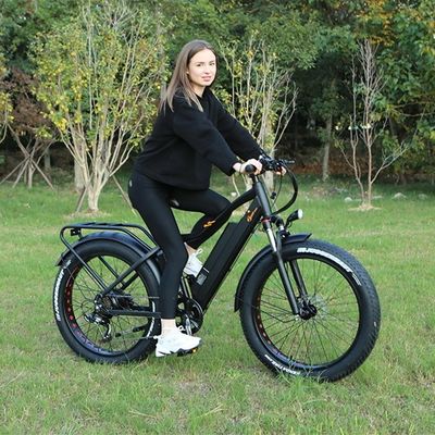 48V 1000W 17AH Lithiumbatterie OEM EN15194 CE Individuelles Elektro-MTB-Bergrad mit Fettreifen