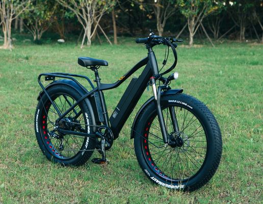 48V 1000W 17AH Lithiumbatterie OEM EN15194 CE Individuelles Elektro-MTB-Bergrad mit Fettreifen