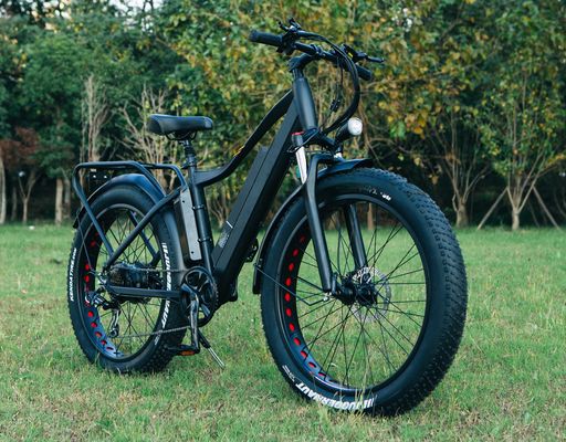48V 1000W 17AH Lithiumbatterie OEM EN15194 CE Individuelles Elektro-MTB-Bergrad mit Fettreifen