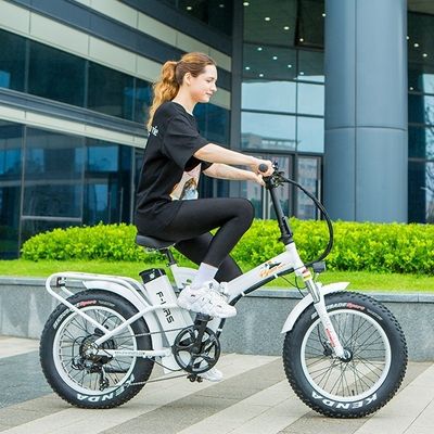 48V 1000W 13AH Lithiumbatterie Groß 4.0 Fett Schnee Reifen Elektro Klapprad für den US-Markt