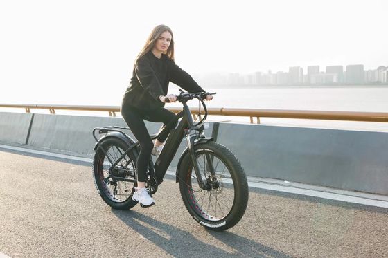 Scheibenbremse 750W 48V Lithiumbatterie Erwachsene E-Bike Fettreifen Elektrofahrrad 26 Zoll mit maximaler Geschwindigkeit von 30-50Km/h