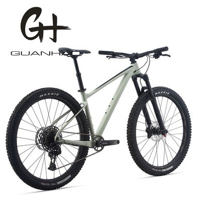 29 Zoll Mountainbike mit SRAM 11 Geschwindigkeit Front Suspension Gabel und Aluminiumlegierung Rahmen OEM