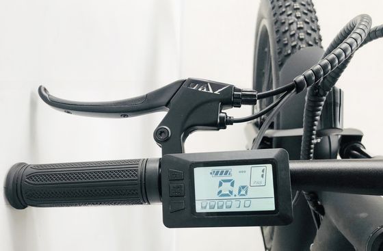 26 Zoll PAS 750W 1000W 48V Lithium Batterie Fettreifen Mountain Electric Bike für Erwachsene Männer