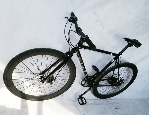 700C Disc Brake American Racing Bike mit CR-MO Stahl und Shimano 7S OEM/ODM CPSC