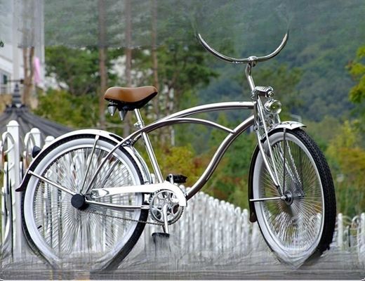 1 Speed Alloy Stem CP Silberpolnische Farbgabel 26*2.125 26&quot; Beach Cruiser Bike für Männer