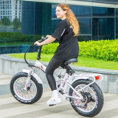 48V 21ah Lithiumbatterie CE zertifiziert 1000W 50KM/H Big Snow Fat Reifen Elektro-Faltrad Vollfederung