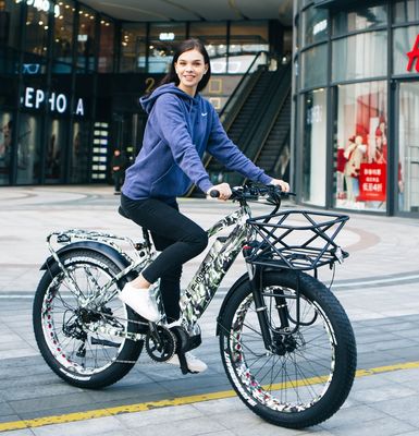 48V 17AH 1000W BaFang Central Motor Elektro Mountainbike mit 26&quot; Fett Schneedecken
