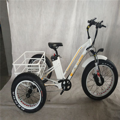 750W Elektrofahrrad 3 Räder Fettreifen für Erwachsene E Trike Ladung Drehmoment 70-80 Nm Scheibenbremsen