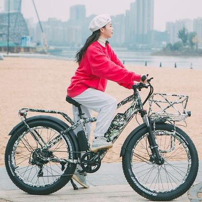 52V 1000W Bafang Motor 17AH Lithium 55KM/h Hinter Hub Schnee Fettreifen Berg Elektrofahrrad