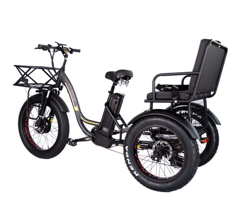 Leichtgewicht Aluminiumrahmen Elektro Dreirad 48V 750W 21AH 50KM/H für Erwachsene