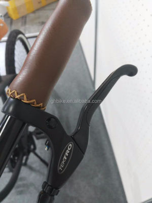 26 Zoll Männer Single Speed Vintage Spring Fork Beach Cruiser für den Flatland Wettbewerb