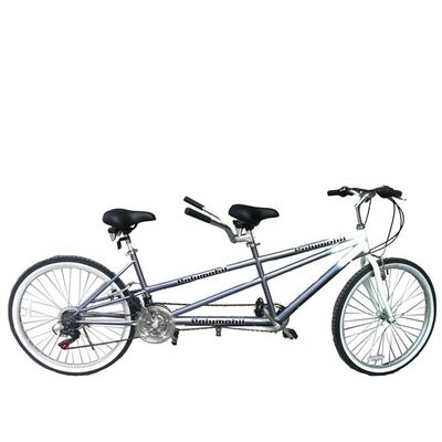 26 Zoll 18 Speed Mountain Einzelhandel 20% Rabatt CE OEM EN14764 Doppelperson Tandem Fahrrad