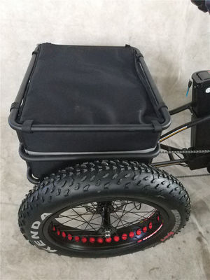 750 Watt Frontmotor 24 4.0 Fettreifen Schnee 48 V E Trike Drei-Rad-Ladung Elektro-Dreirad