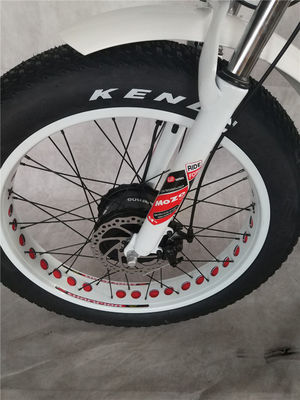 750 Watt Frontmotor 24 4.0 Fettreifen Schnee 48 V E Trike Drei-Rad-Ladung Elektro-Dreirad