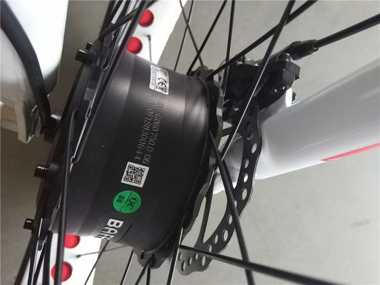 750 Watt Frontmotor 24 4.0 Fettreifen Schnee 48 V E Trike Drei-Rad-Ladung Elektro-Dreirad
