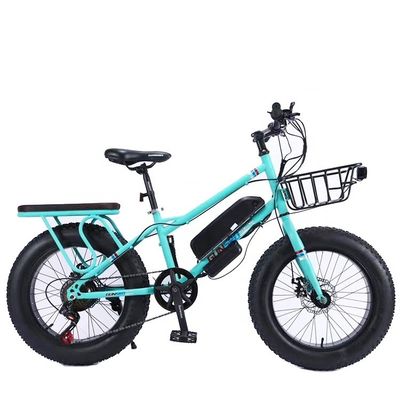 20&quot; 500W 48V13AH OEM/ODM EN15194 Scheibenbremse Elektro-Fahrrad für kleine Kinder' Outdoor-Spaß