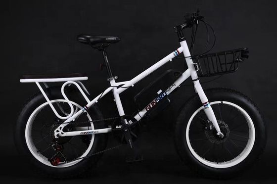 20&quot; 500W 48V13AH OEM/ODM EN15194 Scheibenbremse Elektro-Fahrrad für kleine Kinder' Outdoor-Spaß