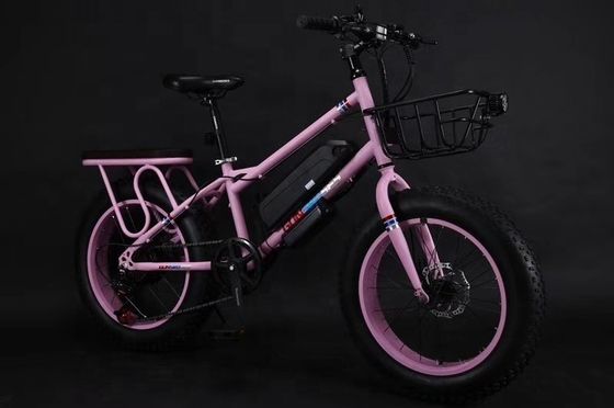 20&quot; 500W 48V13AH OEM/ODM EN15194 Scheibenbremse Elektro-Fahrrad für kleine Kinder' Outdoor-Spaß