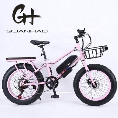 20&quot; 500W 48V13AH OEM/ODM EN15194 Scheibenbremse Elektro-Fahrrad für kleine Kinder' Outdoor-Spaß