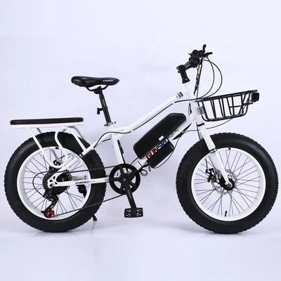 20&quot; 500W 48V13AH OEM/ODM EN15194 Scheibenbremse Elektro-Fahrrad für kleine Kinder' Outdoor-Spaß