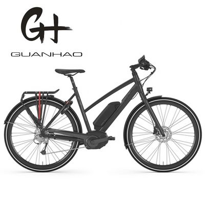 Bafang Central Motor 25KM/h 8.8AH Lithiumbatterie OEM CE Elektro-Stadt-Ladenträger