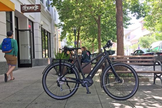 Bafang Central Motor 25KM/h 8.8AH Lithiumbatterie OEM CE Elektro-Stadt-Ladenträger